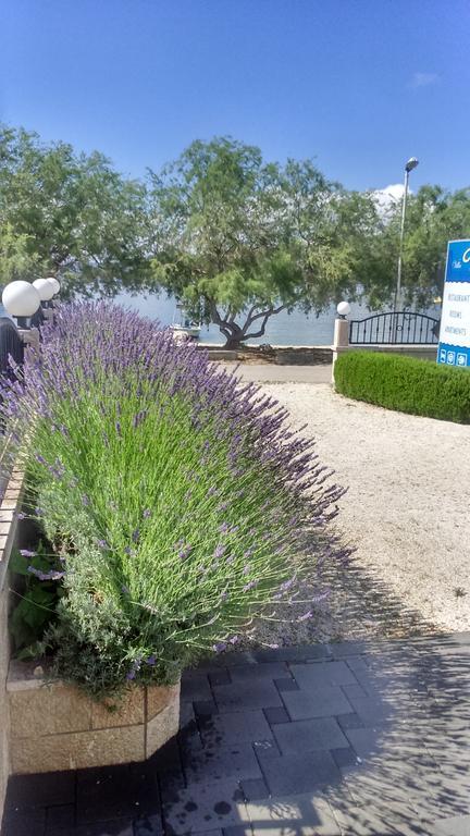 Villa Mediterana Seget Vranjica Bagian luar foto